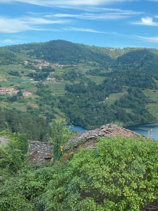Nogueira de Abaixo Casa Do Feligres E Da Alsira 빌라 외부 사진